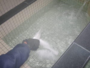 循環風呂レジオネラ除菌洗浄